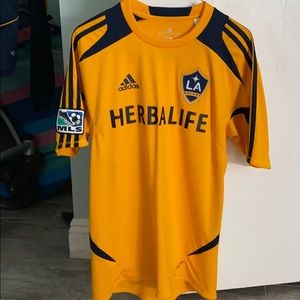 Adidas LA Galaxy Training Jersey